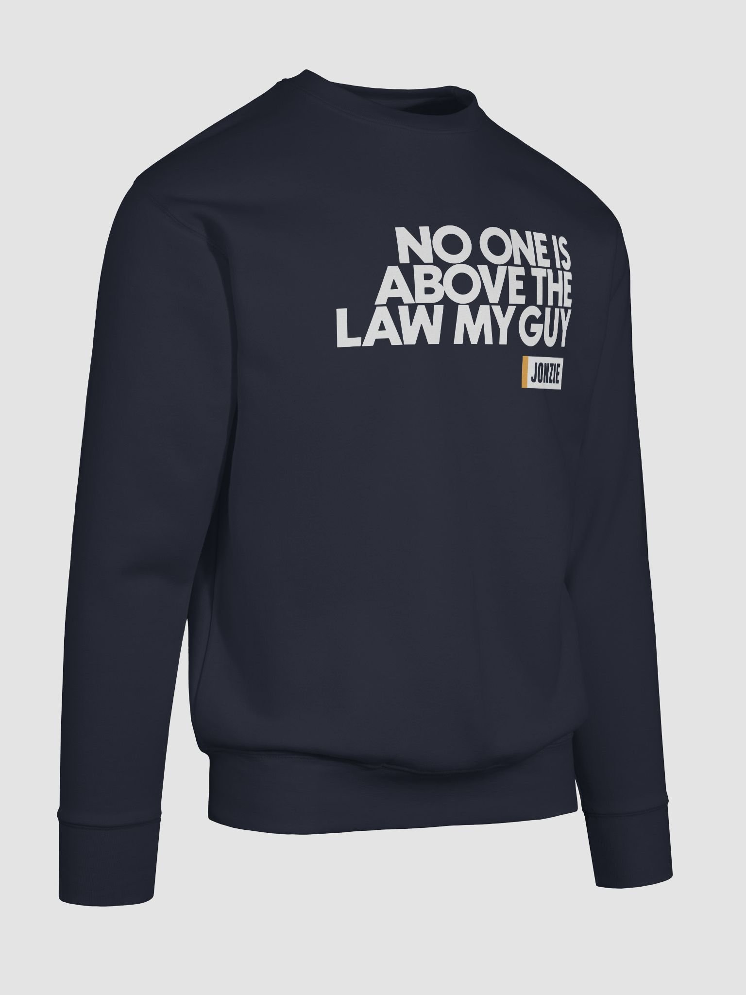 NO ONE IS ABOVE THE LAW SWEAT product image (10)