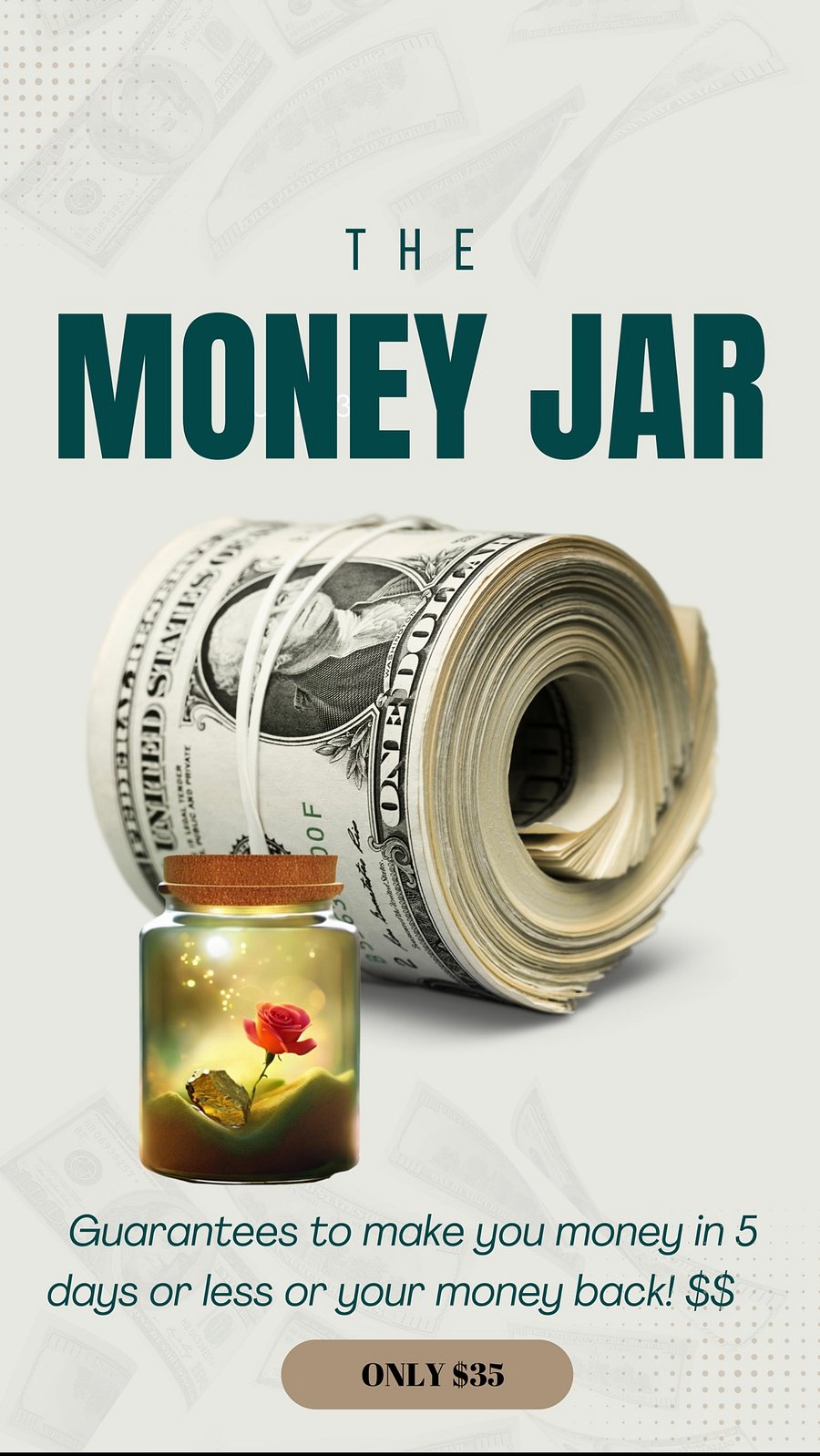 THE MONEY JAR product image (2)