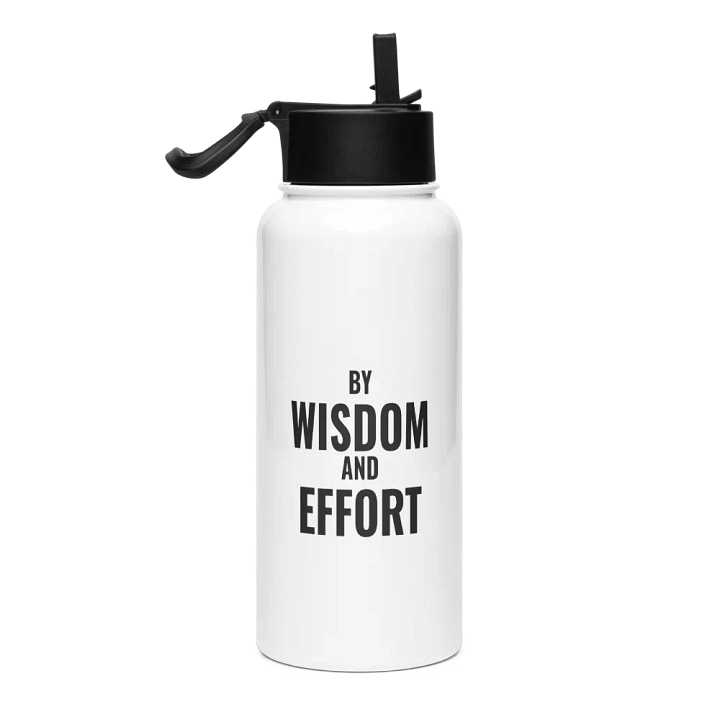 Stainless Steel Bottle product image (1)
