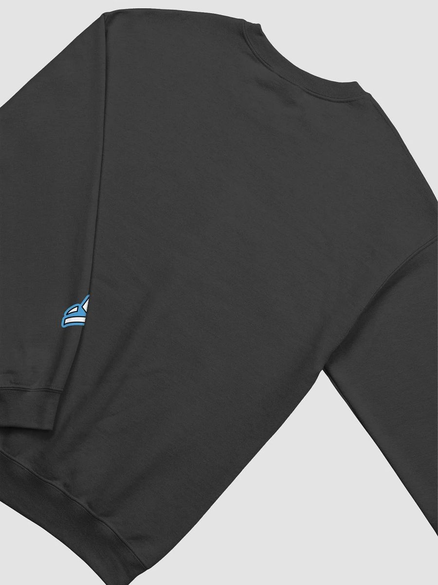 Choose Your Dylan Sweatershirt product image (4)