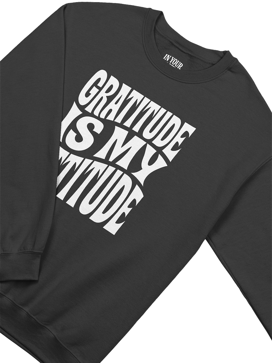Gratitude Is My Attitude Sweatshirt product image (3)