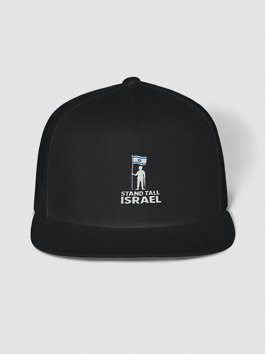 Stand Tall Israel Yupoong Flat Snapback Cap – Sharp. Bold. Unapologetic. product image (4)