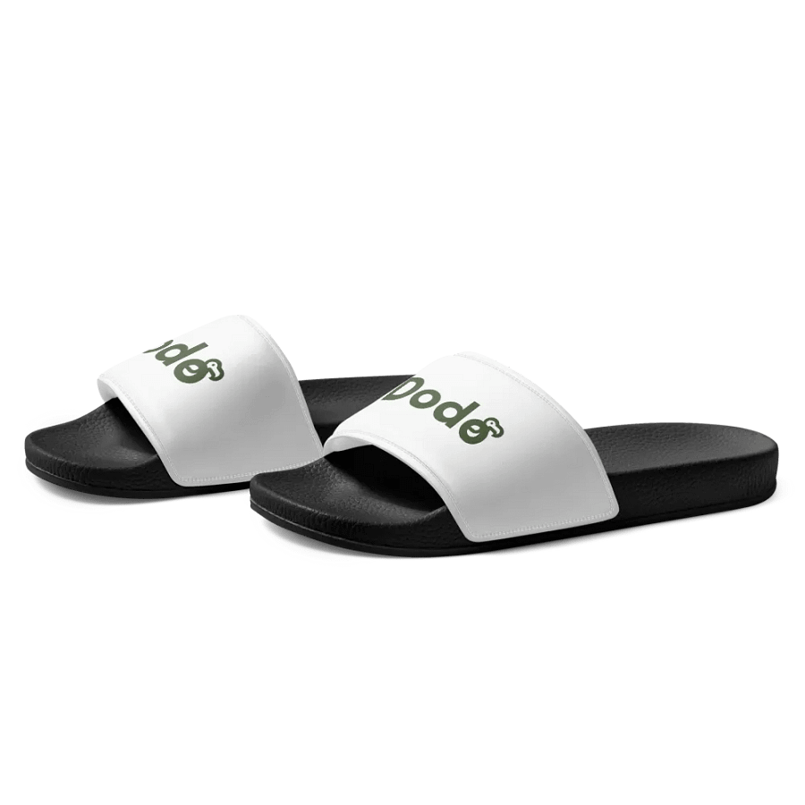 Dodo Slides product image (3)