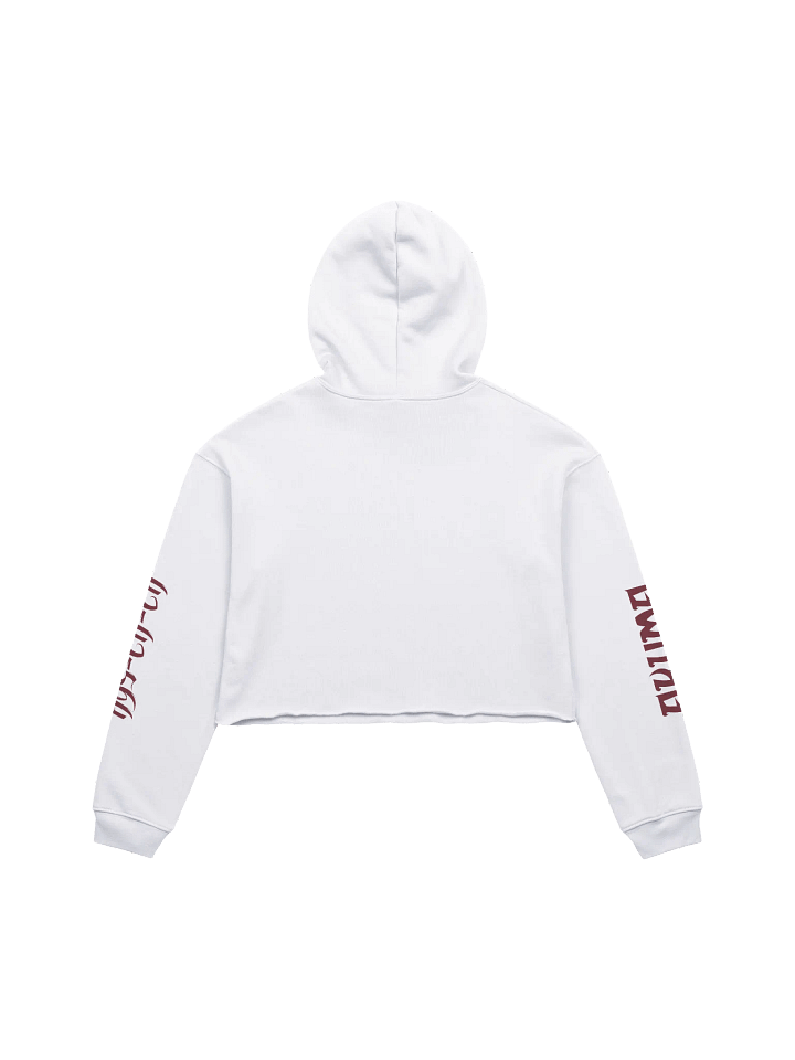 Fuzakenna Crop Hoodie product image (2)