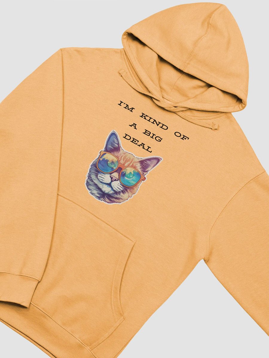 I'm kind of a big deal Midweight Hoodie product image (18)