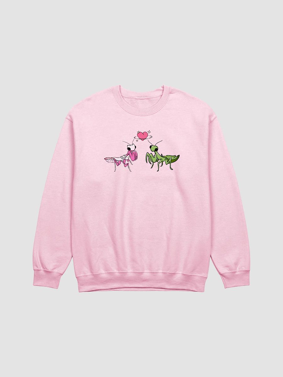 love bug crewneck product image (9)