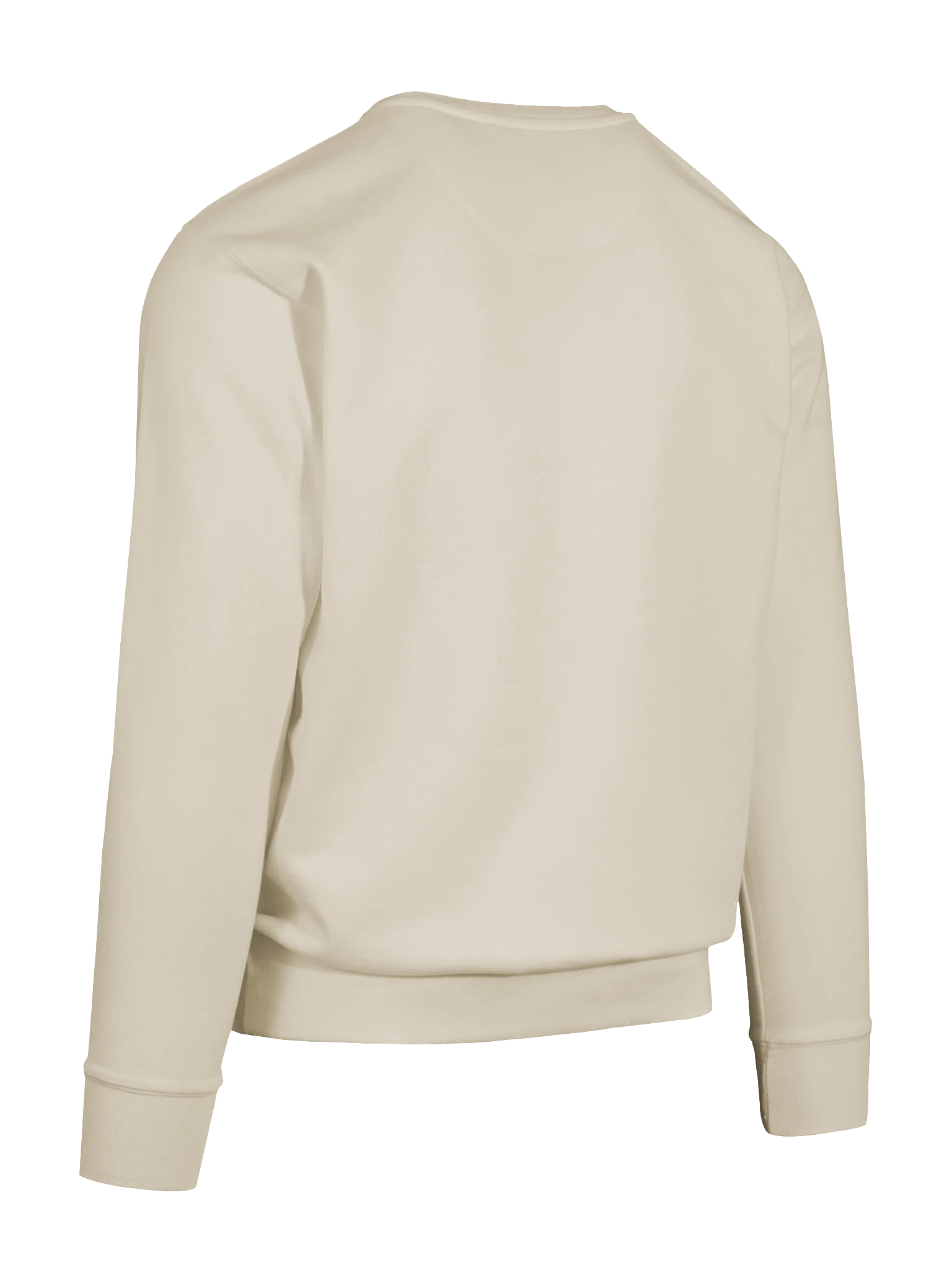 Fish of Art design Premium Sweatshirt product image (12)