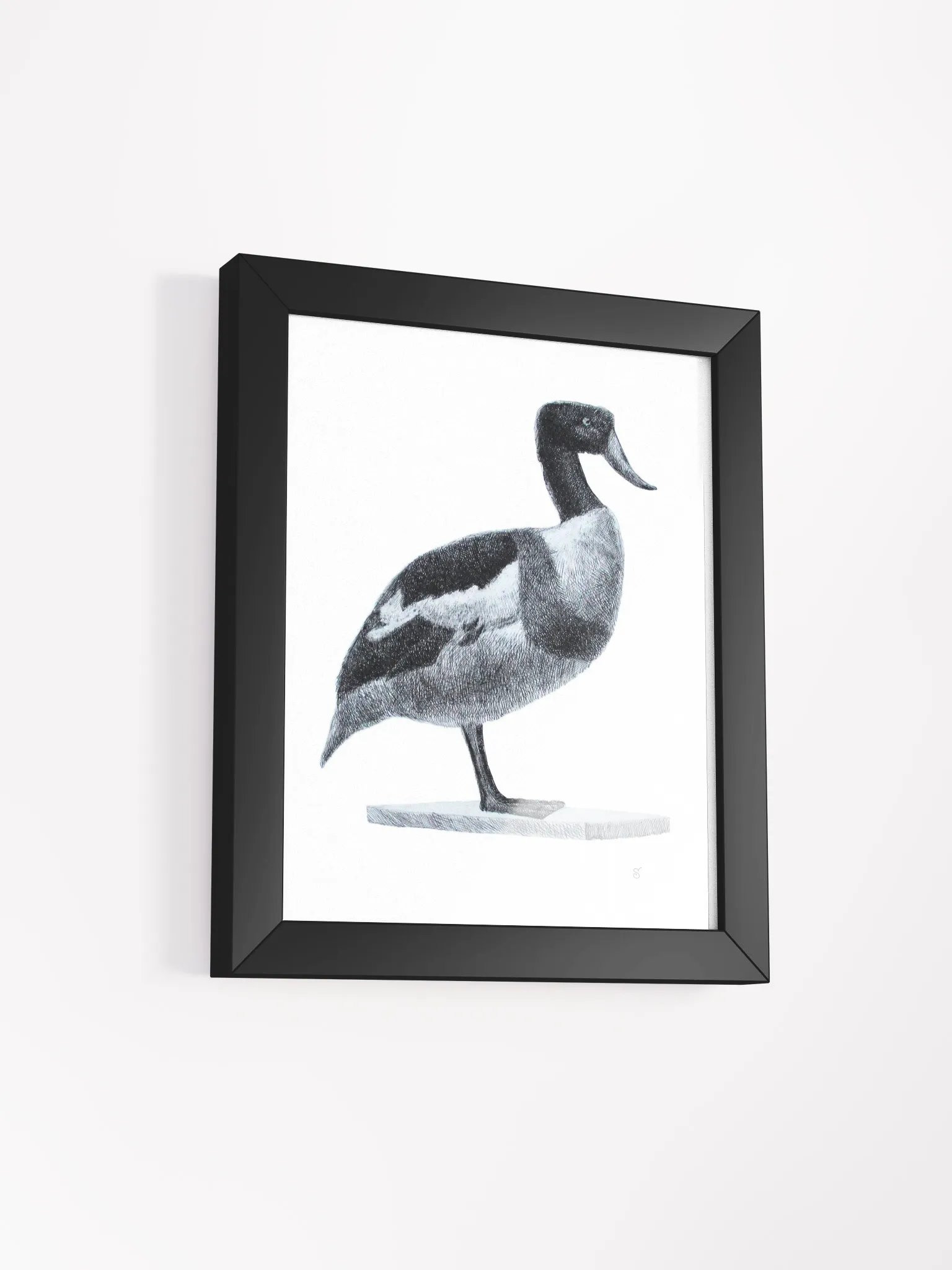 Serene Solitude: Framed Duck Illustration - Duck product image (5)