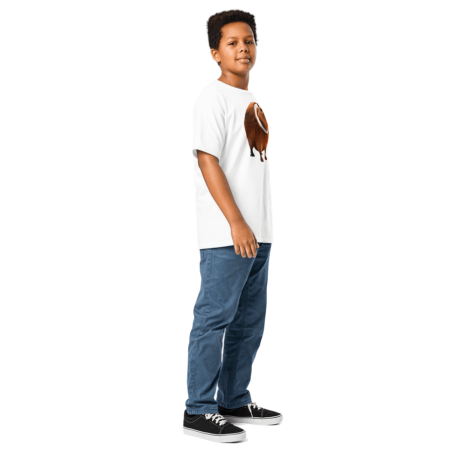 Burballoni Luliloli – Capy Vibes Youth Tee product image (35)