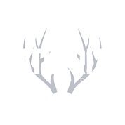 The Fatherize Show
