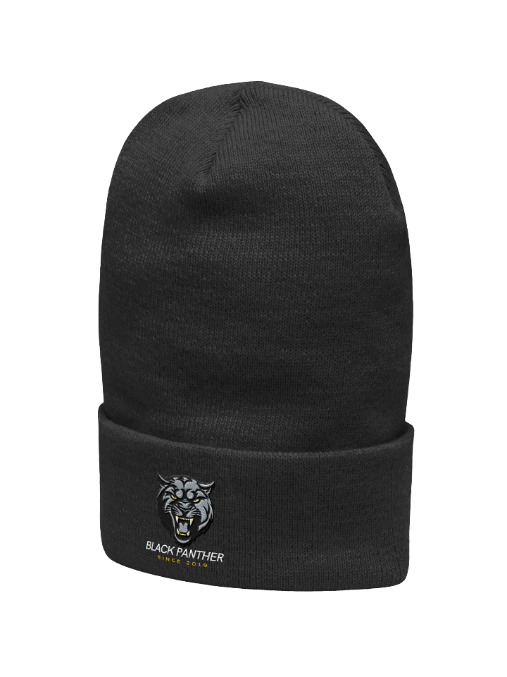 Fierce Panther Embroidered Beanie product image (13)