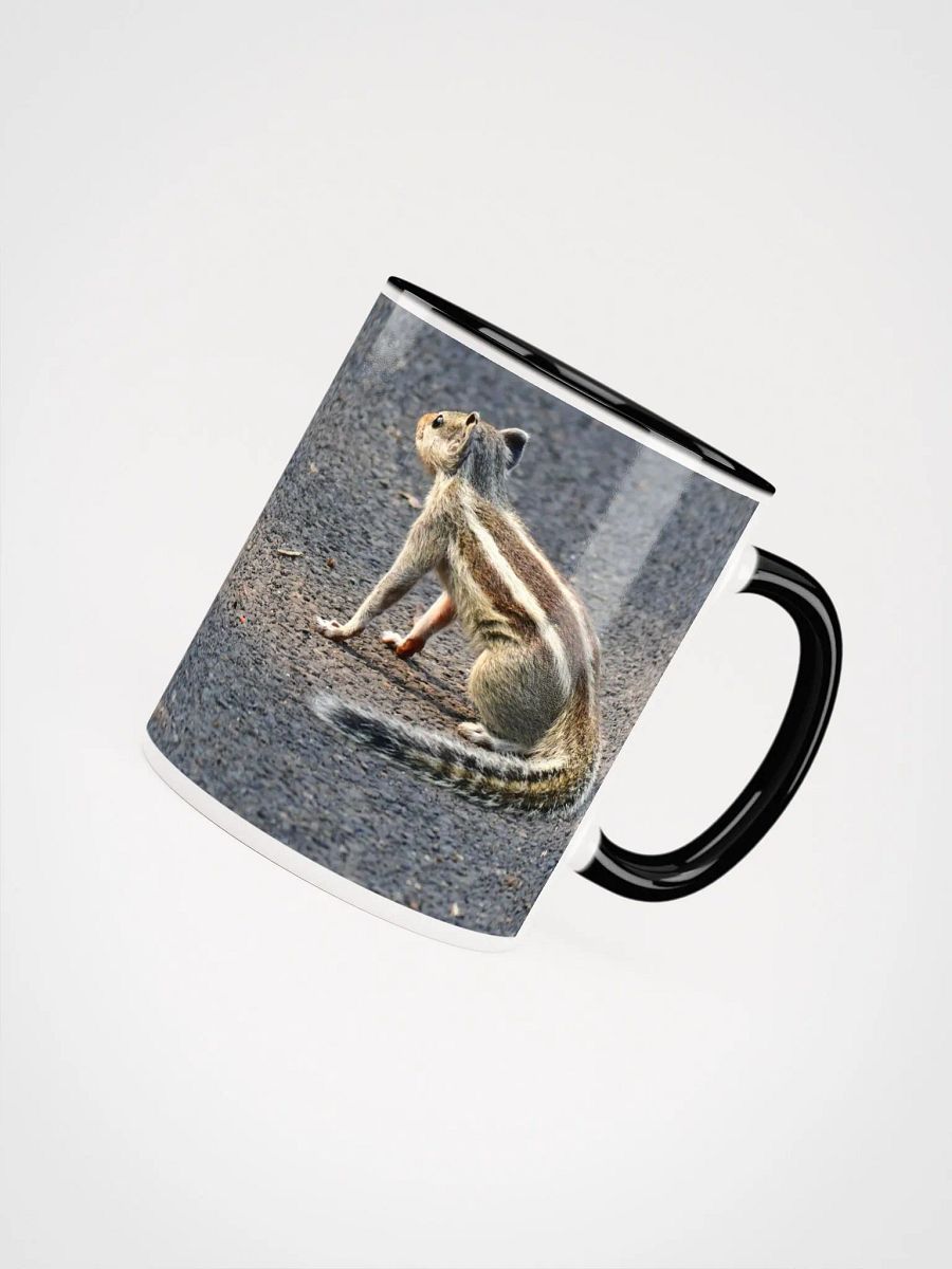 IUCAA Birds MUG product image (4)
