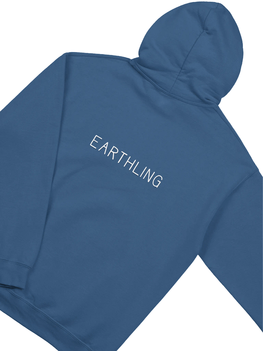 Earthling Pullover Hoodie product image (37)