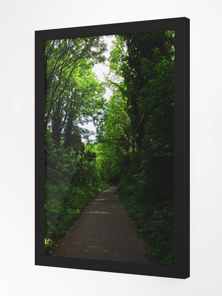 Vibrant Forest product image (2)