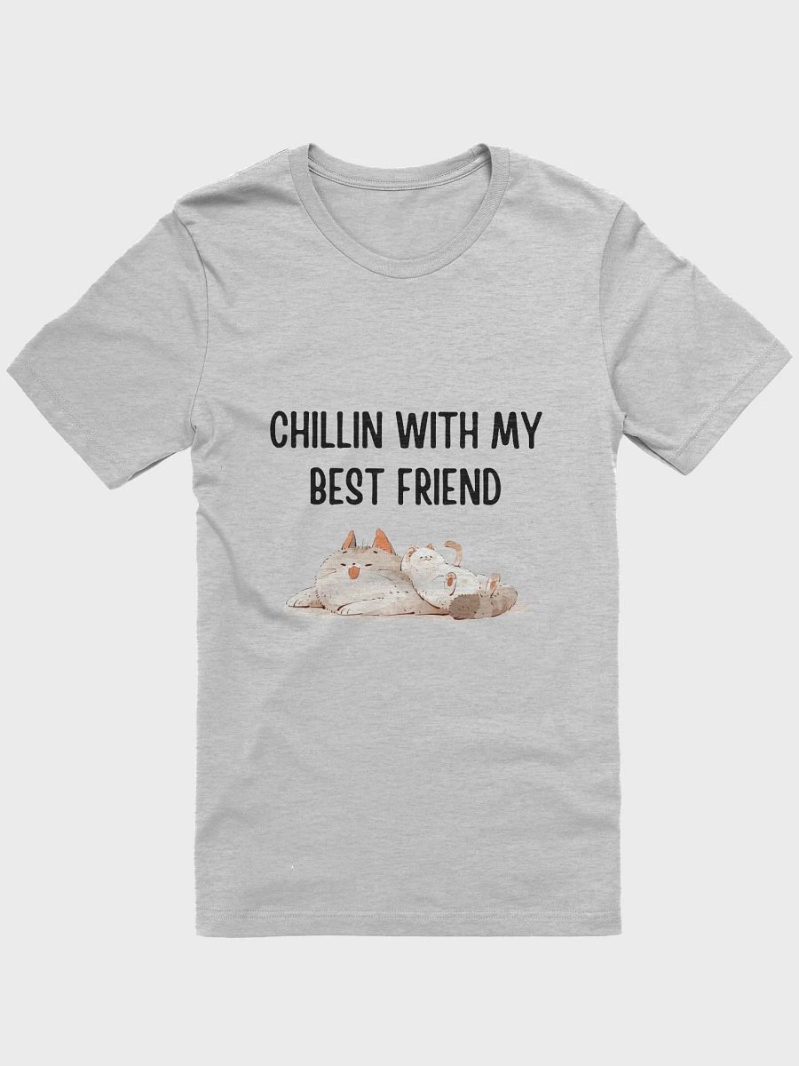 Two Cats Chilling - 