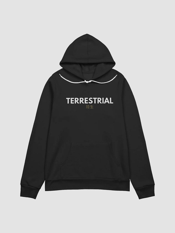 Terrestrial Logo Hoodie product image (3)