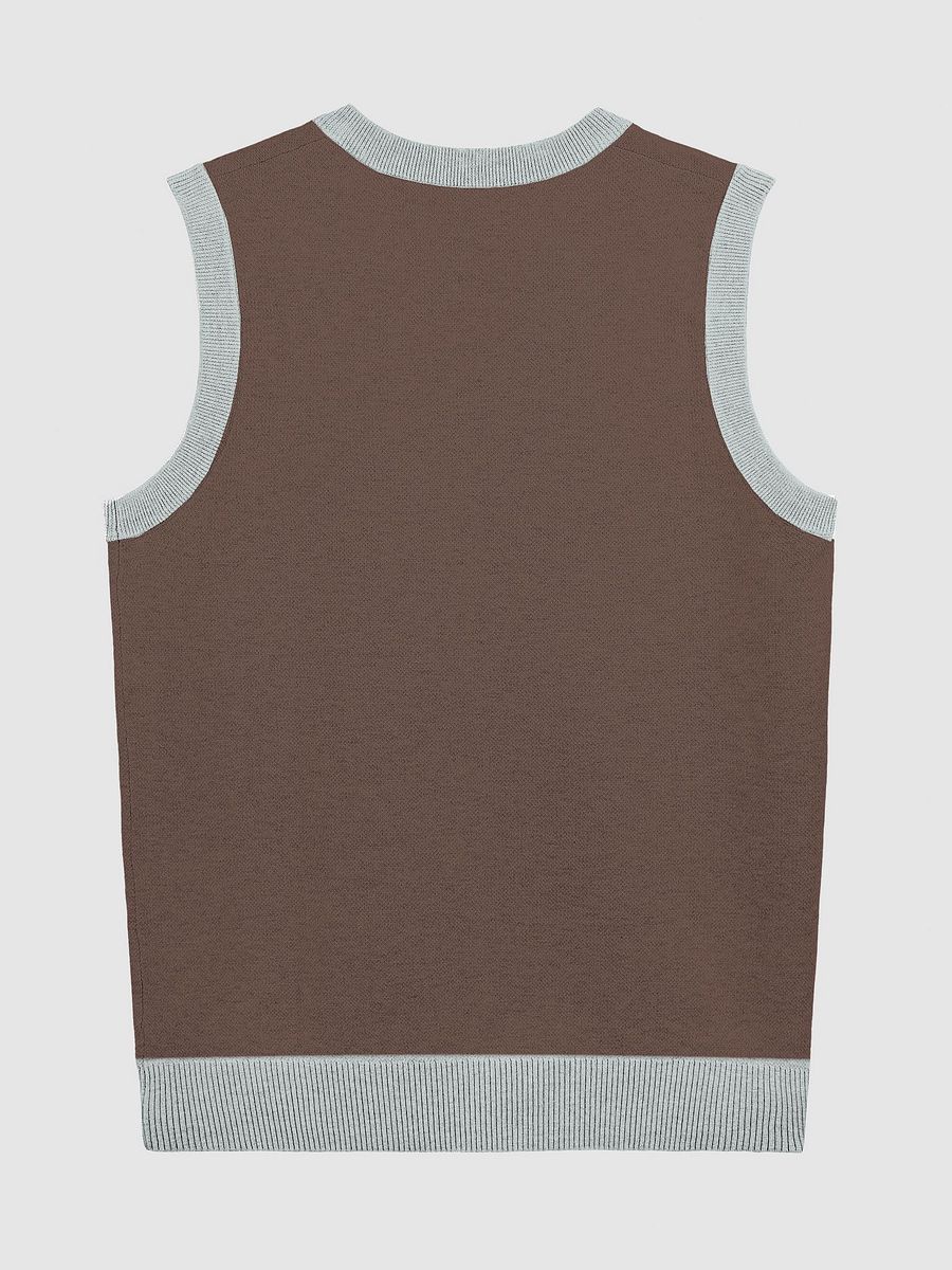 PLEASE DON'T MAKE ME TALK (light blue and brown) knitwear vest product image (8)