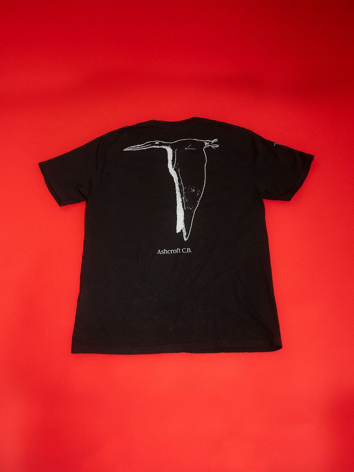 DINO NEXT RIGHT T product image (2)