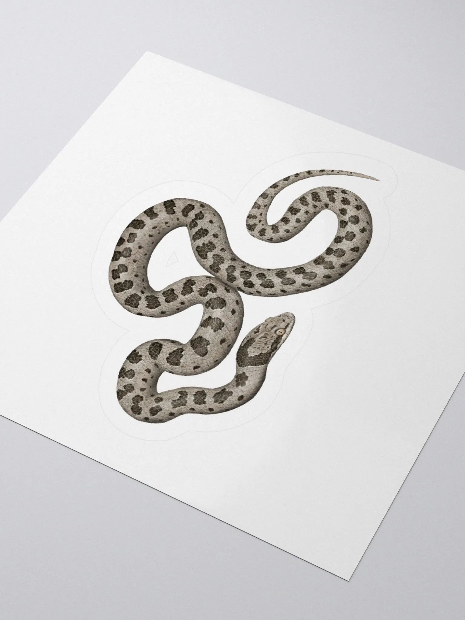 Die-Cut Sticker – Desert Nightsnake product image (3)