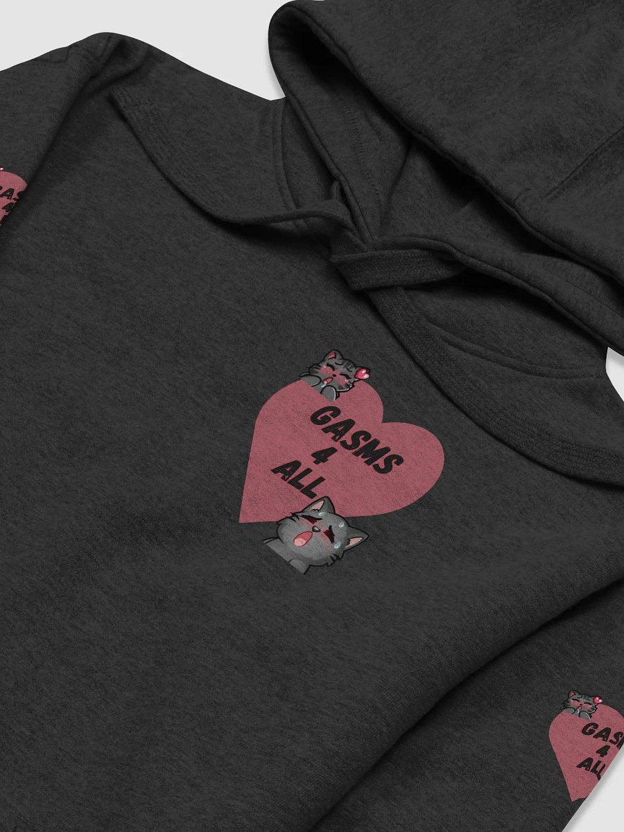 Gasms 4 All Hoodie product image (3)