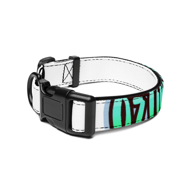 pet collar product image (2)