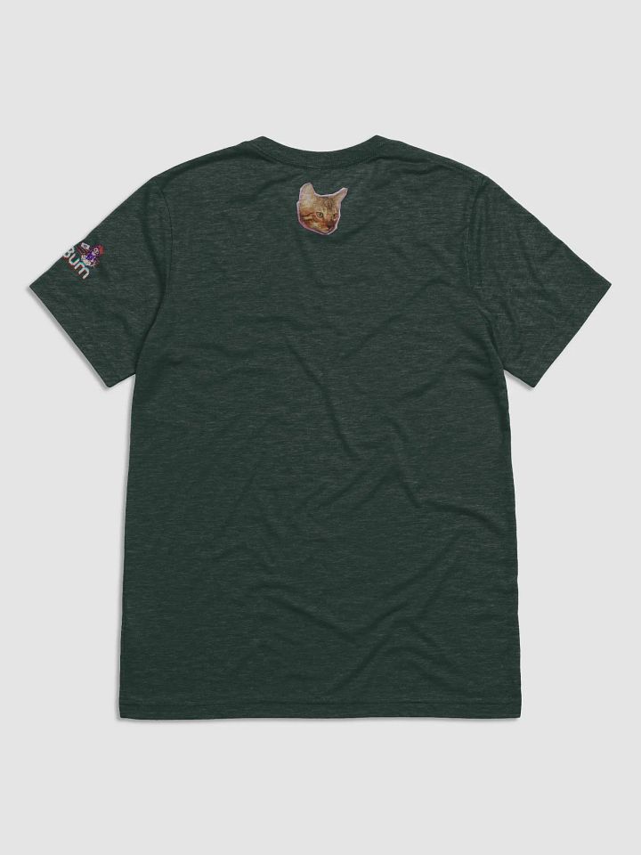 STICKERDOODLE triblend tee product image (26)