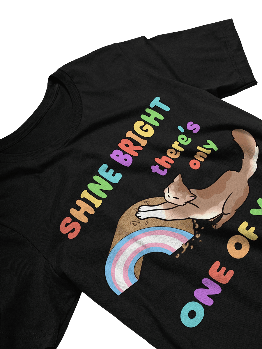Shine Bright Trans Pride Shirt product image (31)