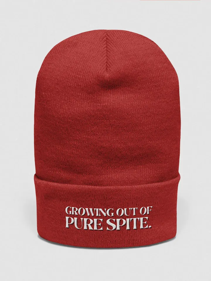 GROWING OUT OF PURE SPITE cuffed beanie product image (31)