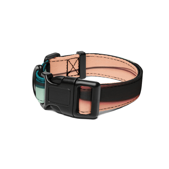 Exclusive Gradient Pet Collar - Adjustable, Durable, Sizes S-L product image (1)