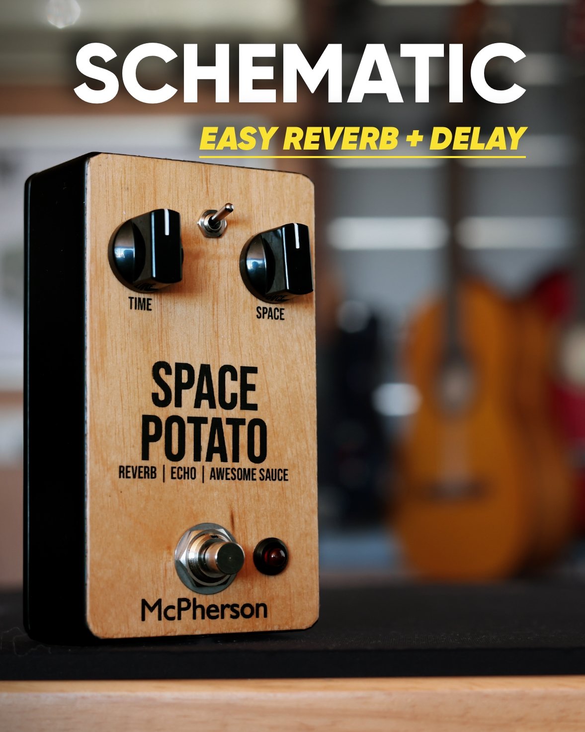 Space Potato Easy Reverb/Delay (Plus Members) product image (1)