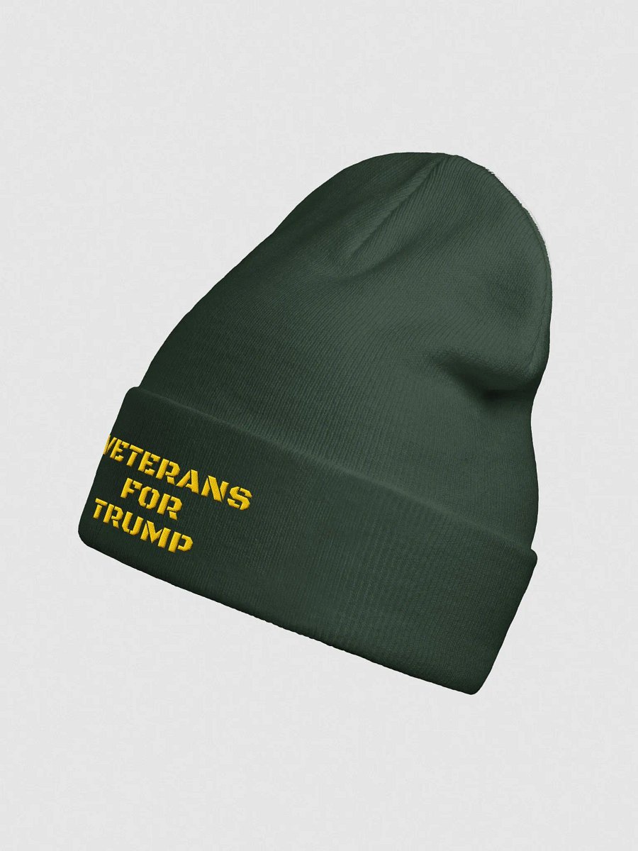 Veterans For Trump Beanie product image (12)