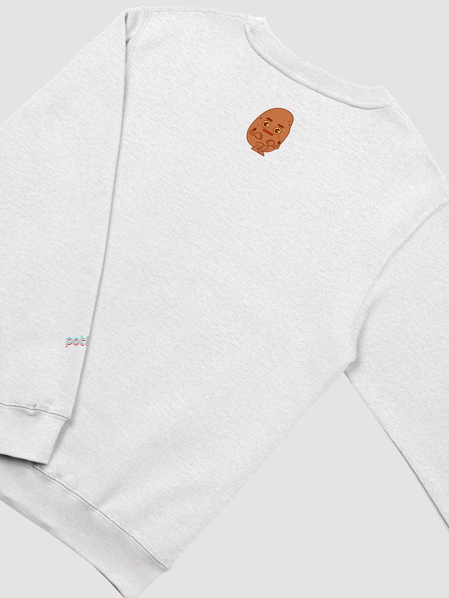 NEURODIVERGENT premium sweatshirt product image (8)