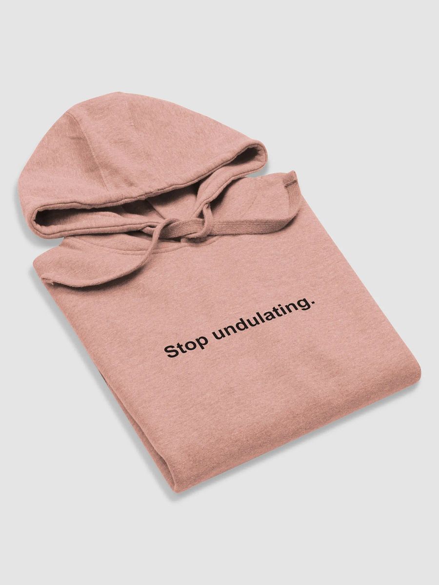 Stop Undulating Hoodie product image (16)
