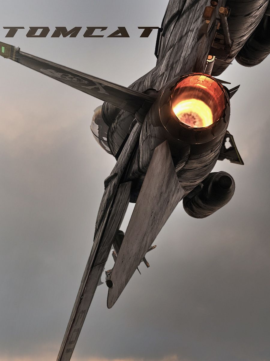 F-14 Tomcat Audio Addon for DCS: World product image (1)