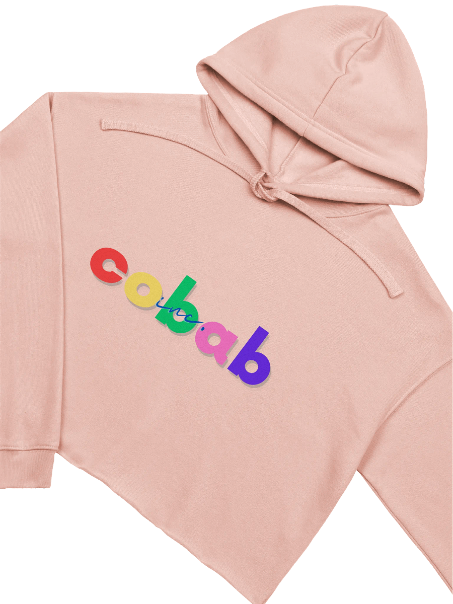Skittles Crop Hoodie product image (1)