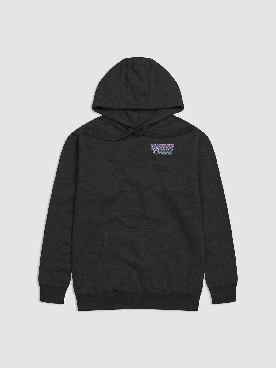 QP Hoodies product image (1)
