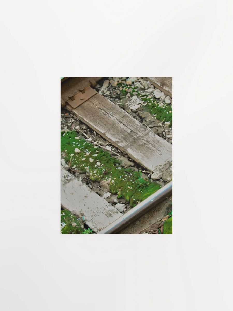Mossy Railroad product image (10)
