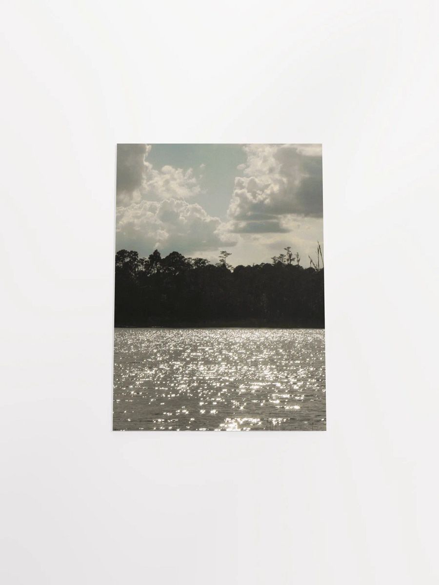 Florida Lake 4 product image (45)