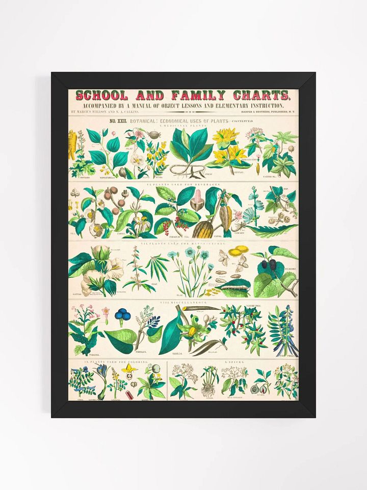 Botanical Uses Framed Art Print product image (3)