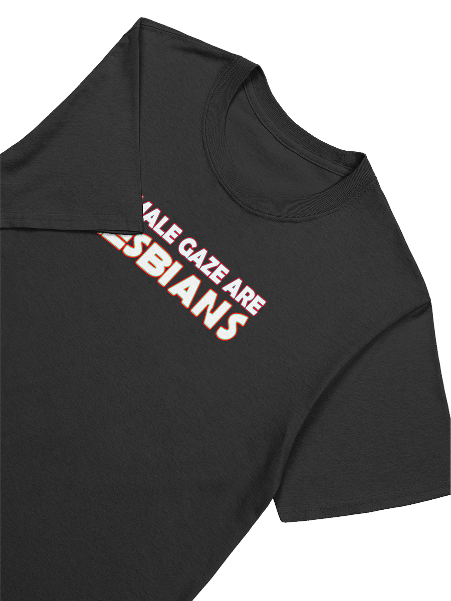 FEMALE GAZE ARE LESBIANS T-SHIRT product image (12)