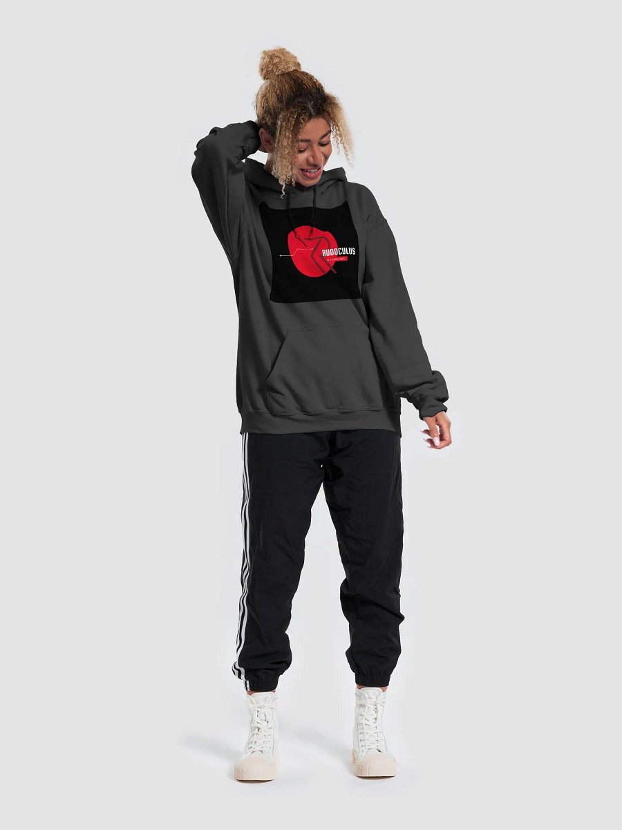 RUDO HOODIE (GREY) product image (6)