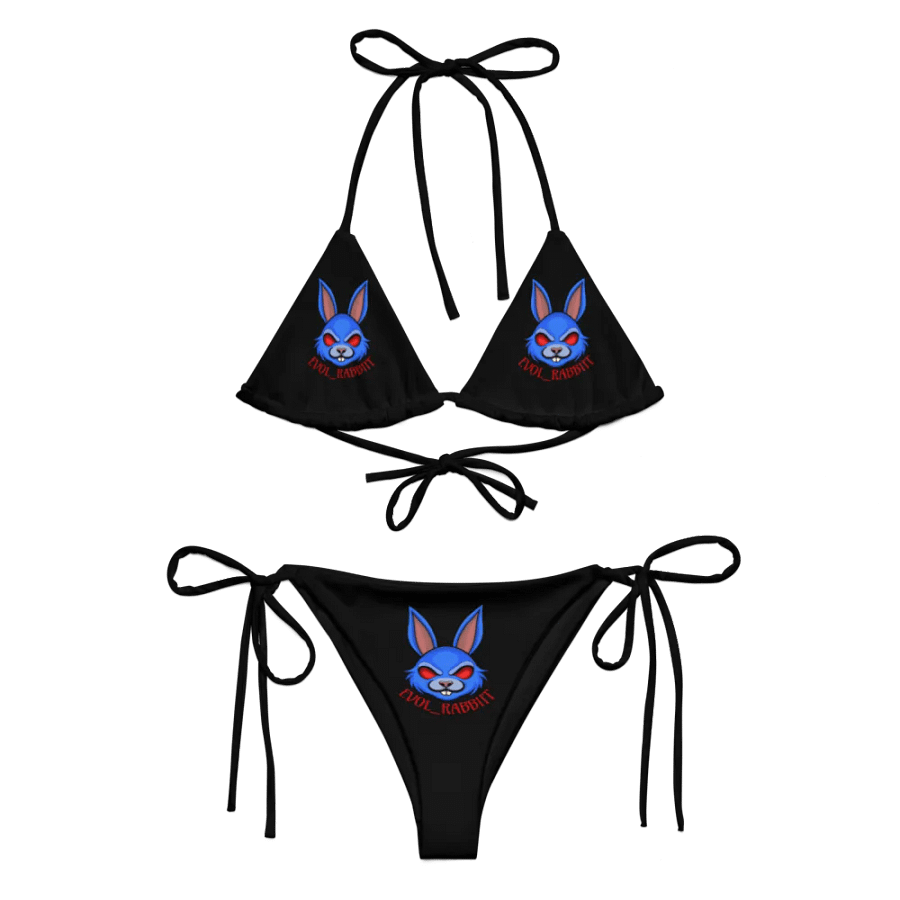 Evol Bikini product image (5)