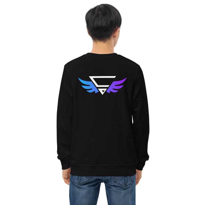 CraytoX Sweater - Black product image (1)