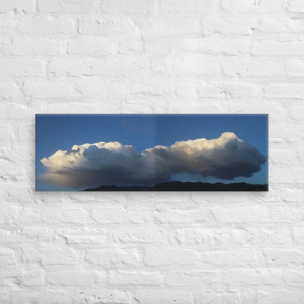 Fluffy - Canvas product image (4)