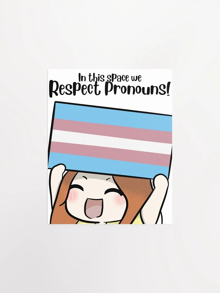 Respect Pronouns Poster - Transgender product image (1)