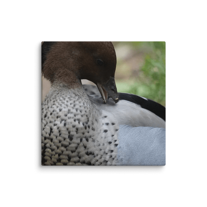 Duck on a Canvas product image (2)