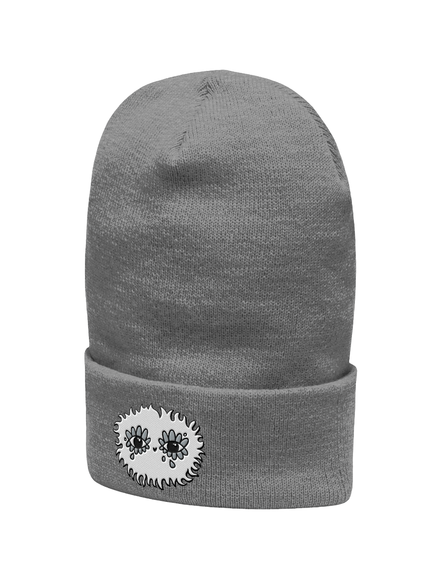 WLS Cuffed Beanie product image (4)