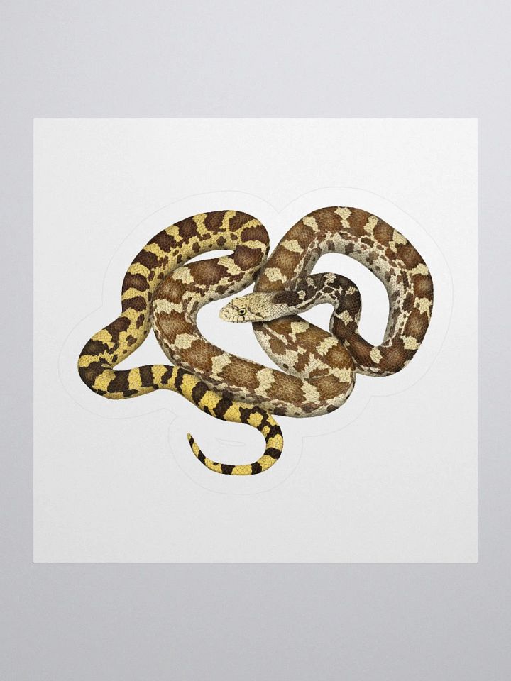 Die-Cut Sticker – Sonoran Gophersnake product image (1)