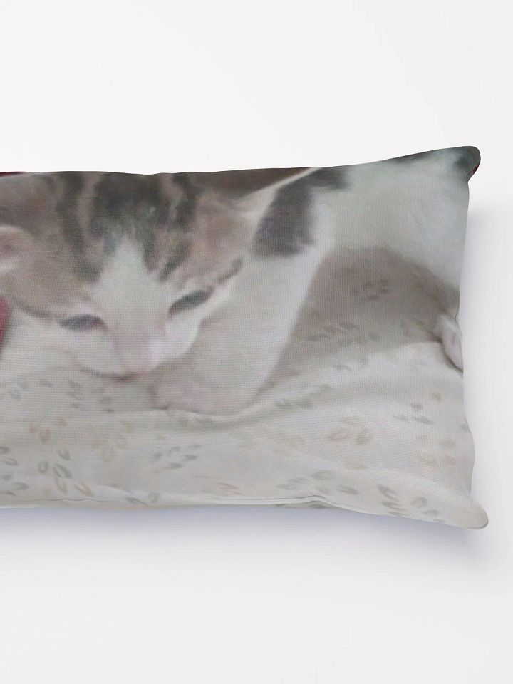 Adorable Kitten product image (4)