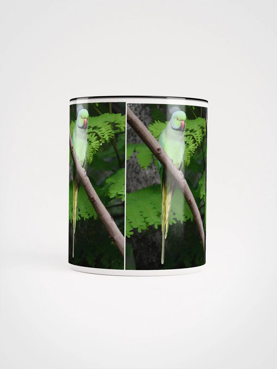 IUCAA Birds MUG product image (5)
